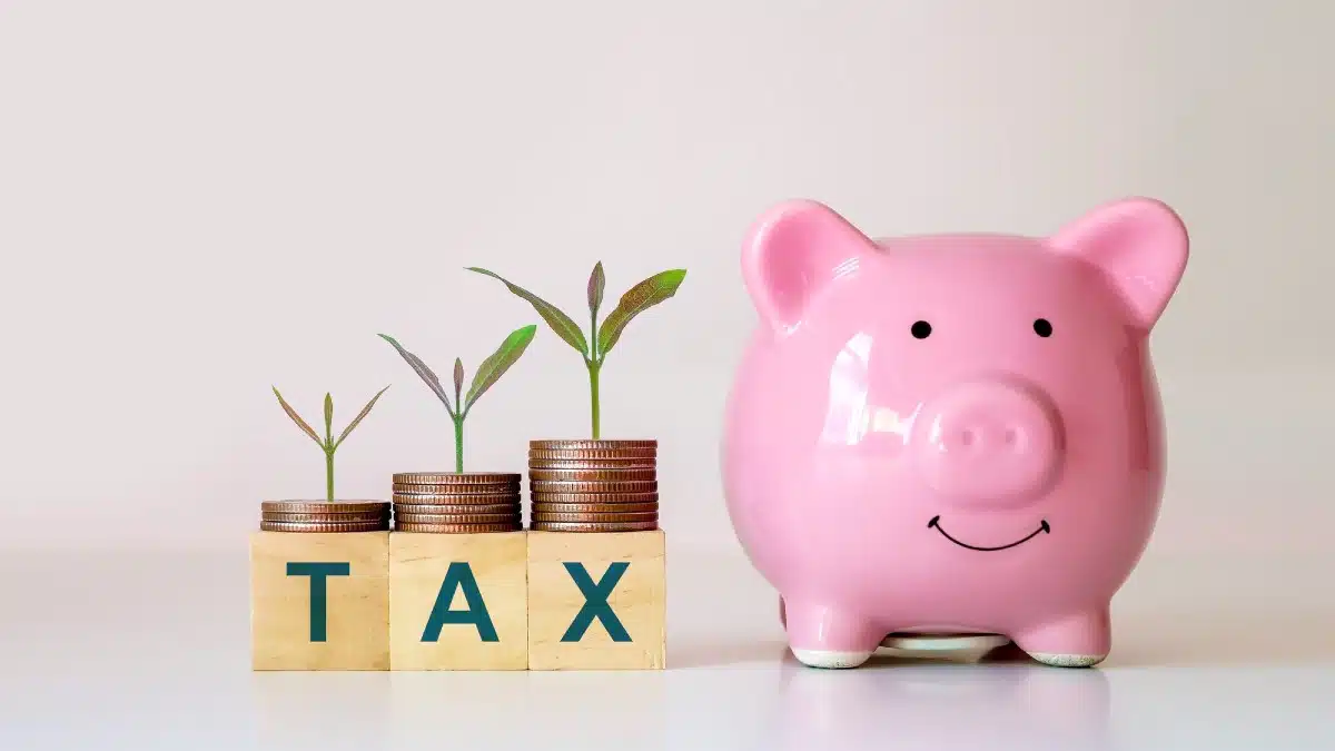 Tax Planning Mastery